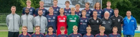 Verslag website Aarhus GF